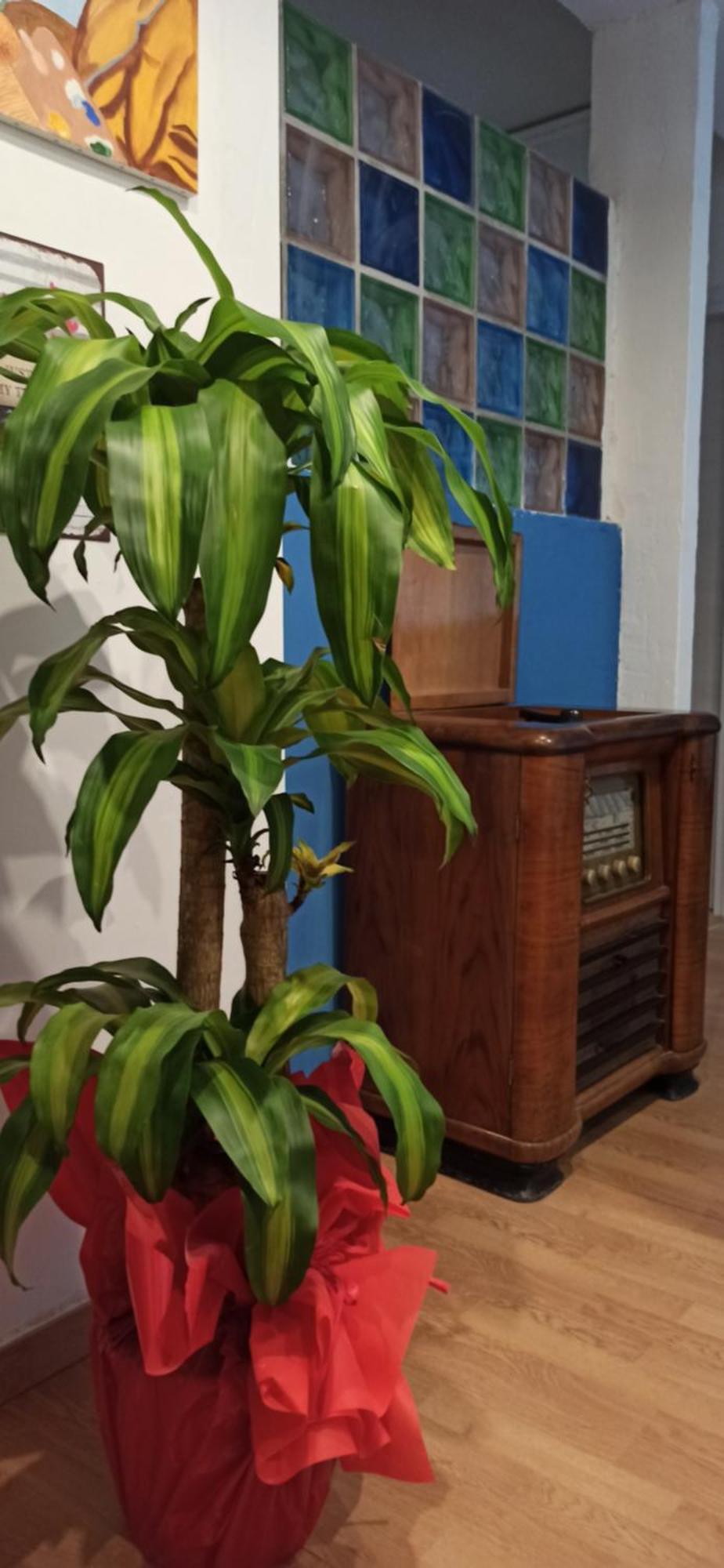 New Suite Palermo Dış mekan fotoğraf