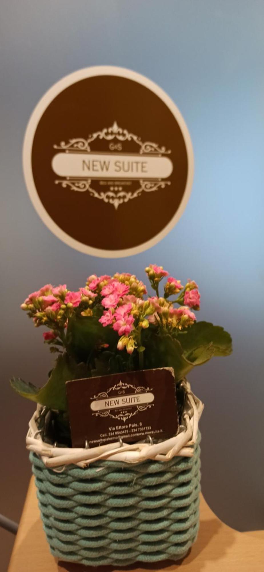 New Suite Palermo Dış mekan fotoğraf